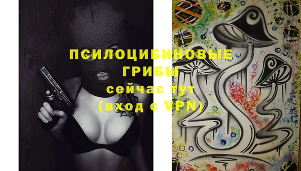 синтетический гашиш Каменногорск