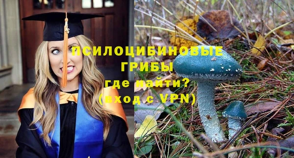 таблы Каменка