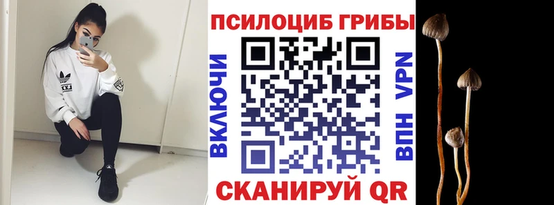 Галлюциногенные грибы GOLDEN TEACHER  купить   Спас-Клепики 